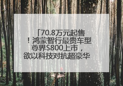 70.8万元起售！鸿蒙智行最贵车型尊界S800上市，欲以科技对抗超豪华品牌，余承东发布会未提及迈巴赫