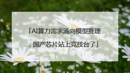 AI算力需求涌向模型推理，国产芯片站上竞技台了