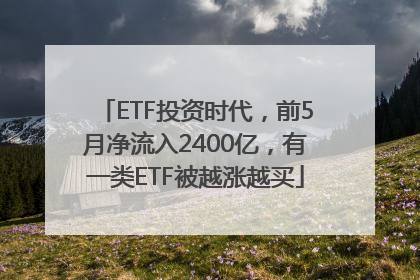 ETF投资时代，前5月净流入2400亿，有一类ETF被越涨越买